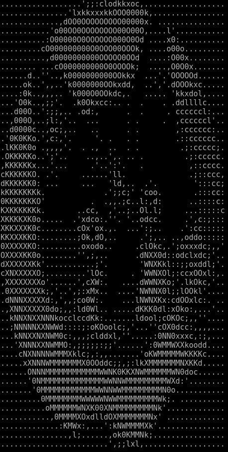 ascii kitteh